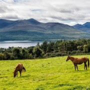 Aghadoe Viewpoint
