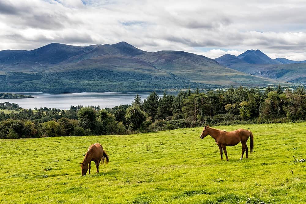 Aghadoe Viewpoint