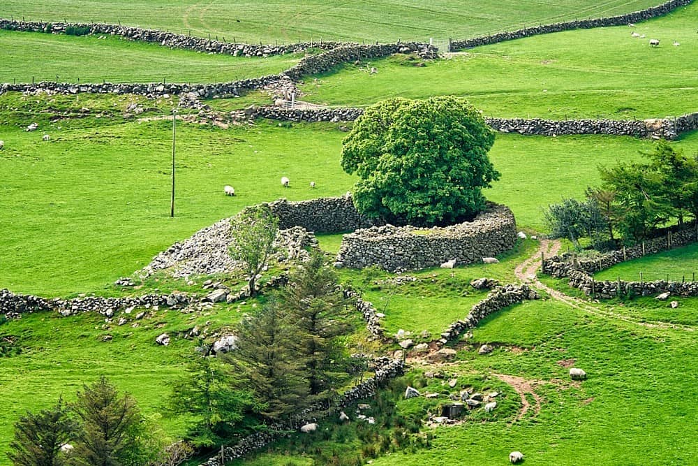Altagore Cashel