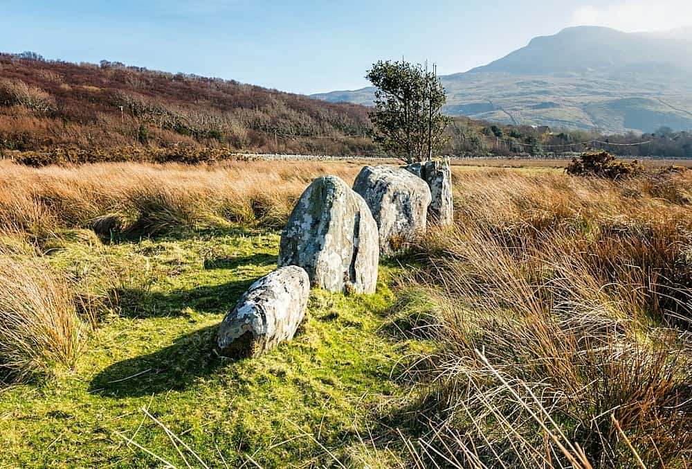 Annagh-Killadangan Stone Rows