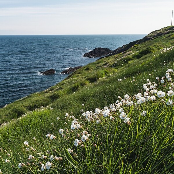 Ballycotton Cliff Walk