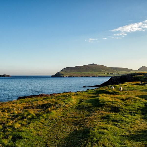 Ballydavid Cliff Walk