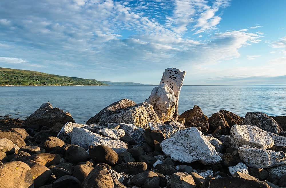 Ballygalley Polar Bear