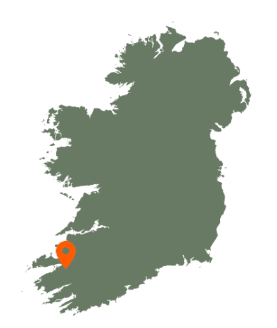 Ballymalis Castle Karte