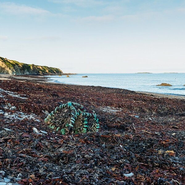Bannow Bay