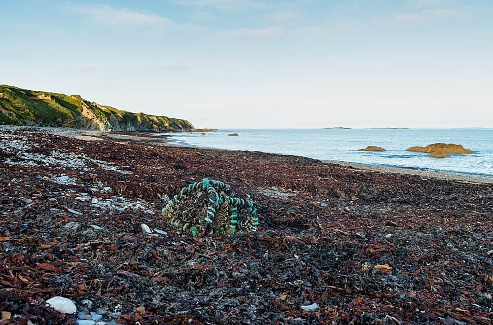 Bannow Bay