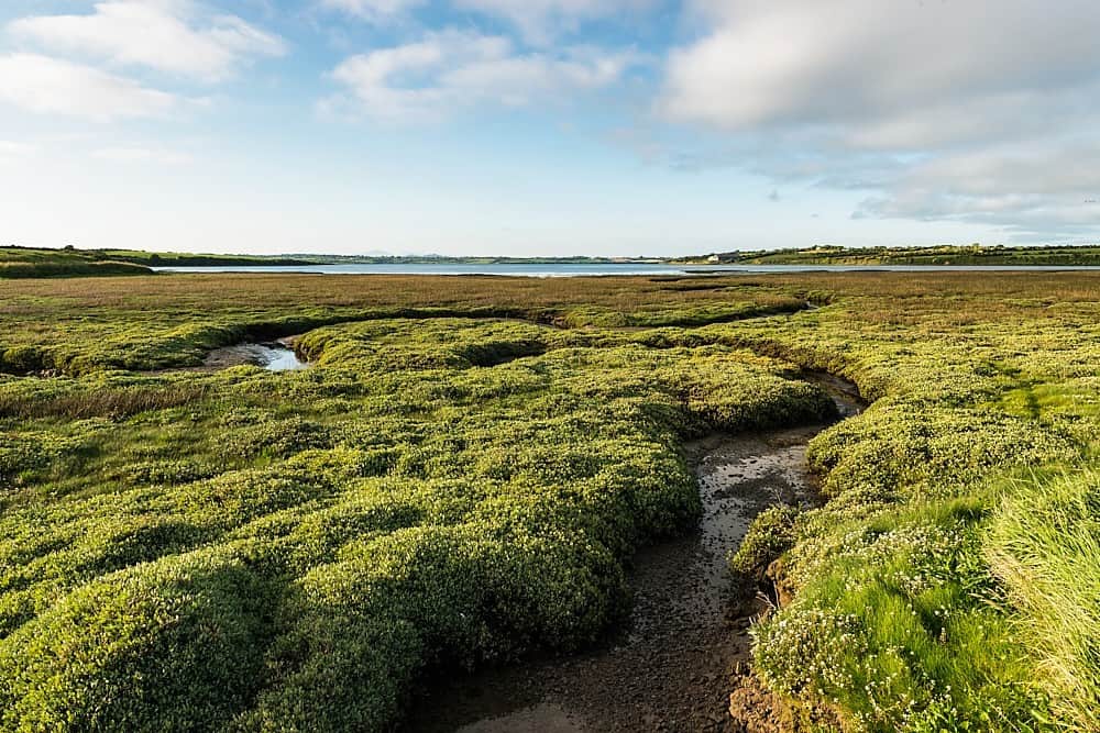 Bannow Island