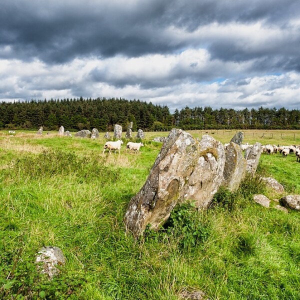 Beltany Stone Circle