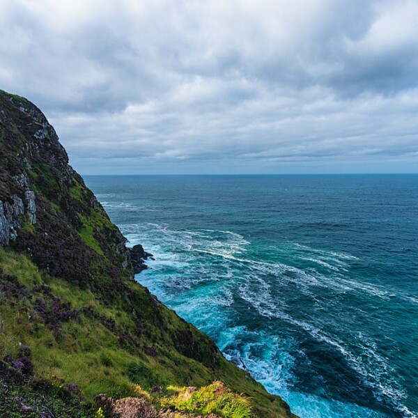 Brandon Point