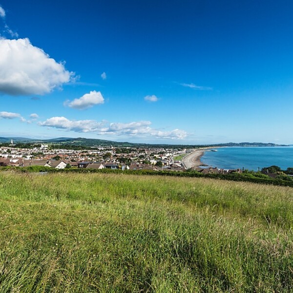 Bray