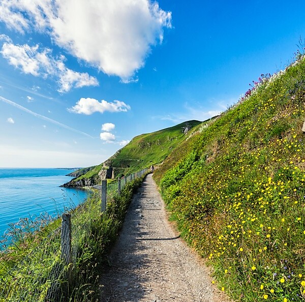 Bray Cliff Walk
