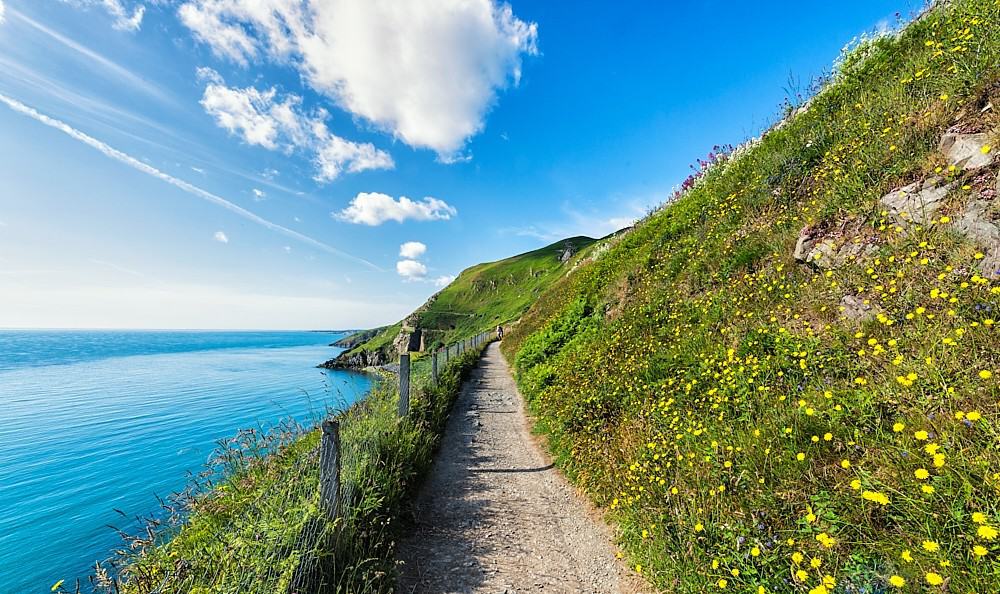 Bray Cliff Walk