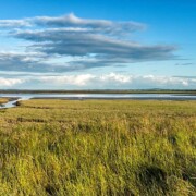 Carrig Cultra Wetlands