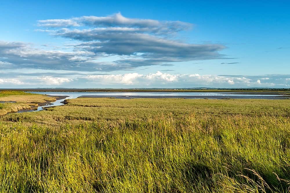 Carrig Cultra Wetlands