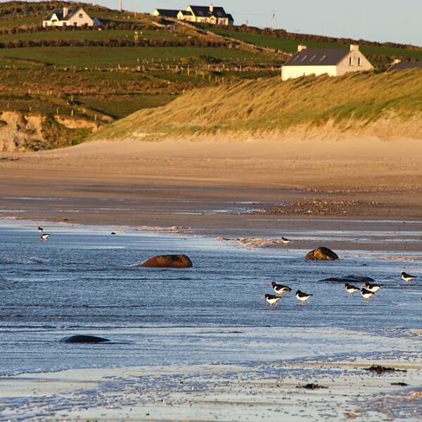 Carrowmore Beach