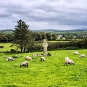 Carrowmore High Crosses