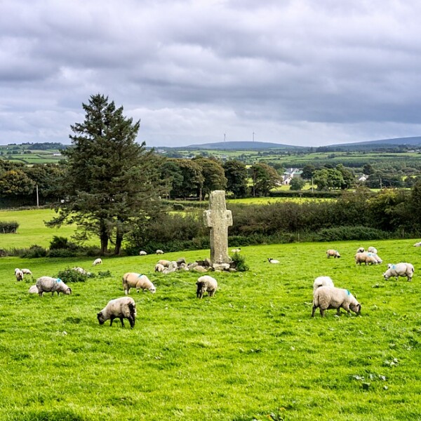 Carrowmore High Crosses