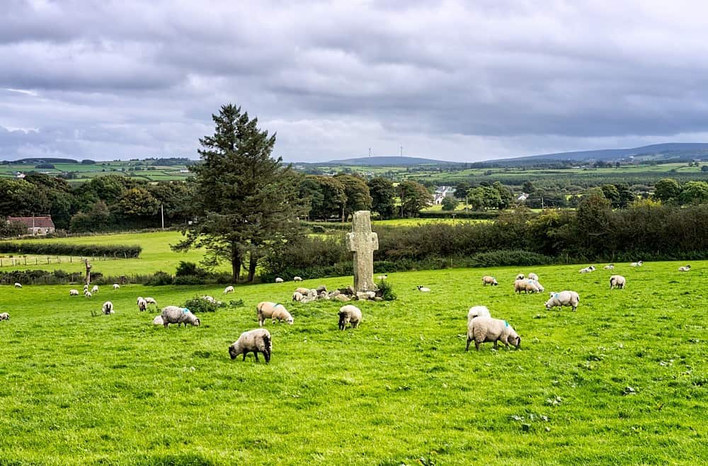 Carrowmore High Crosses