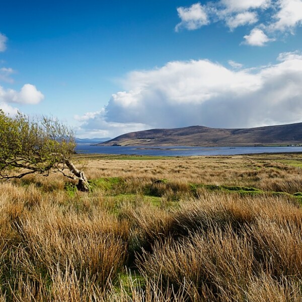 Carrowmore Lake