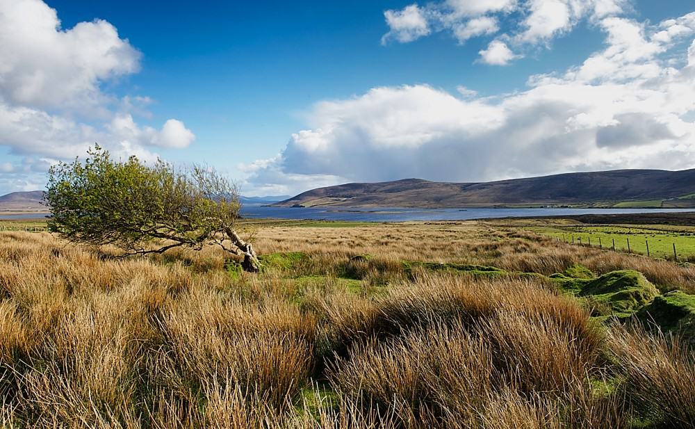 Carrowmore Lake