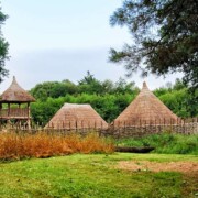 Craggaunowen - Crannog