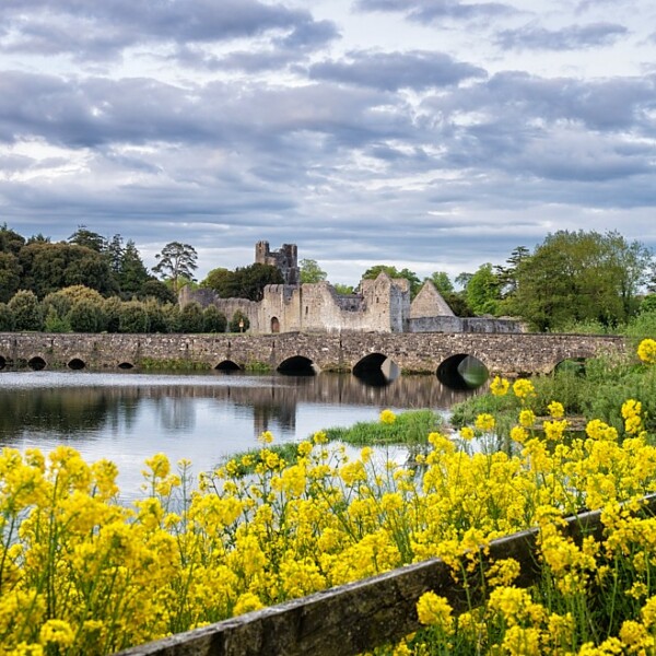 Desmond Castle