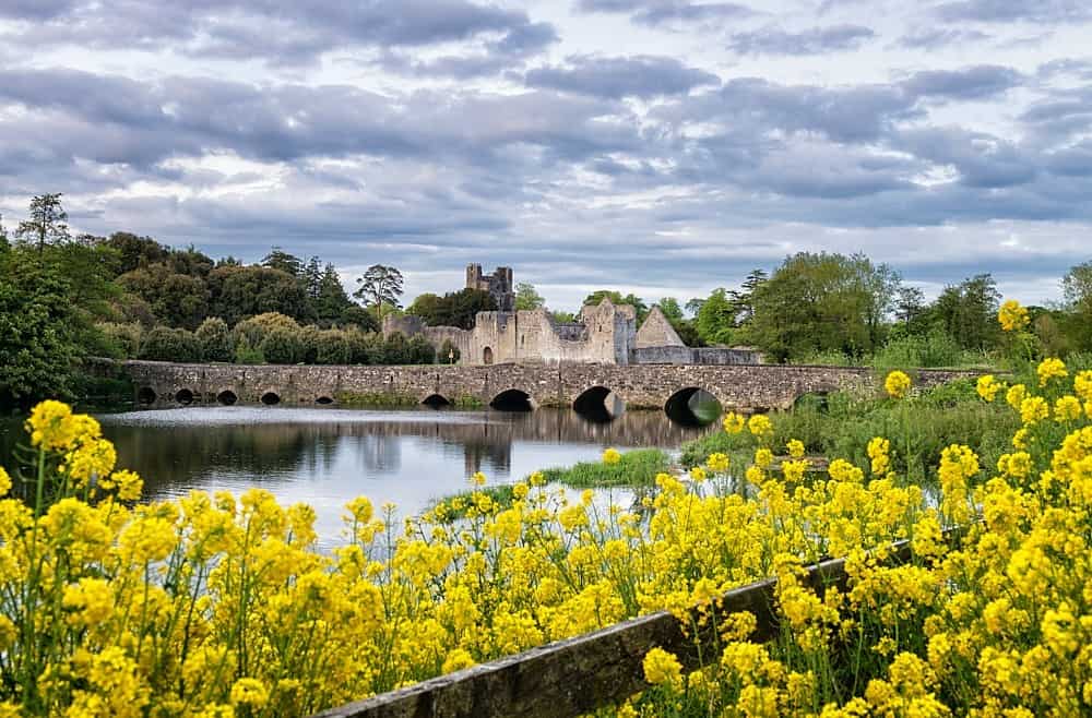 Desmond Castle