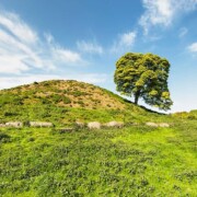 Dowth Passage Tomb