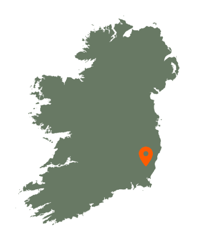 Ferns Cathedral Karte