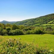Glencorp - Glens of Antrim