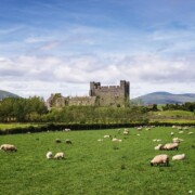 Green Castle