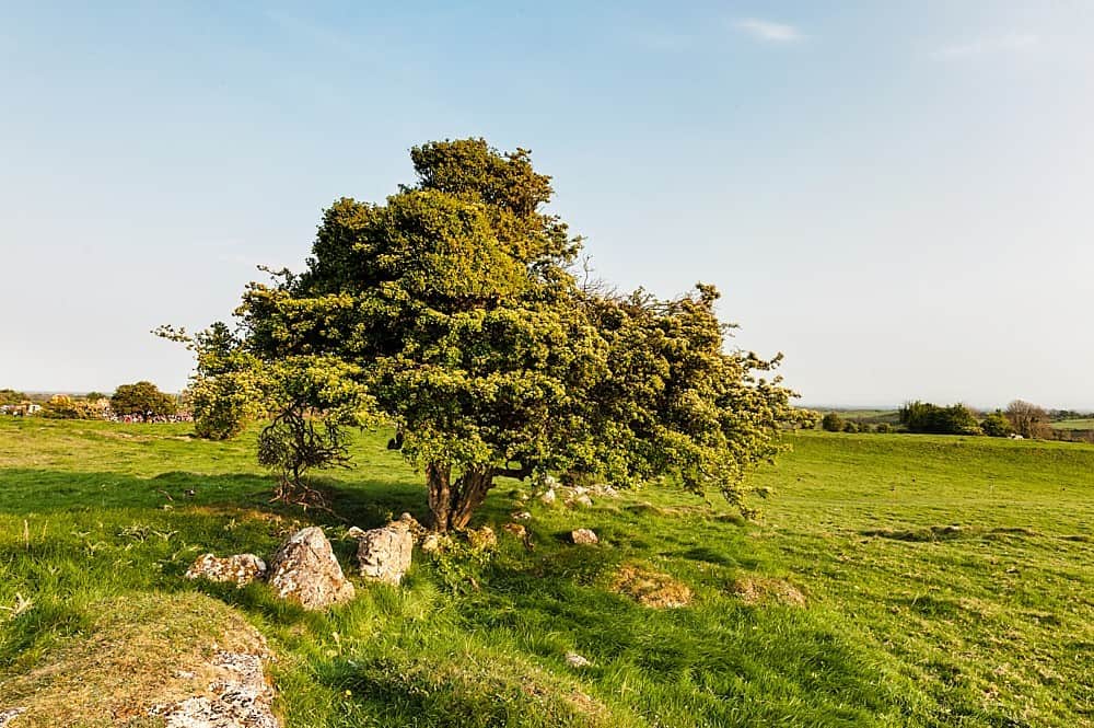 Hill of Uisneach
