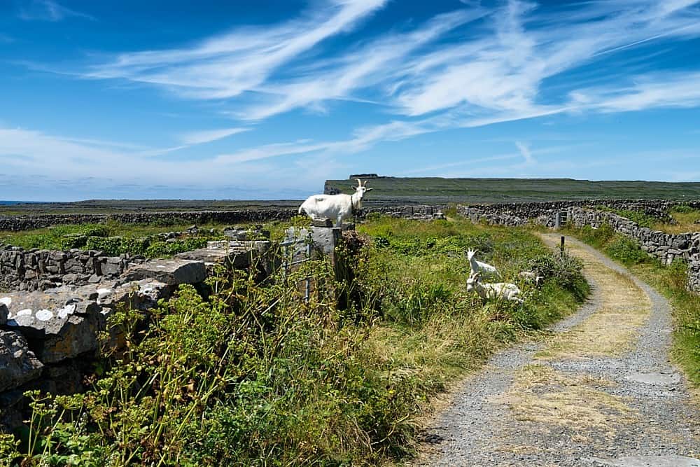 Inishmore