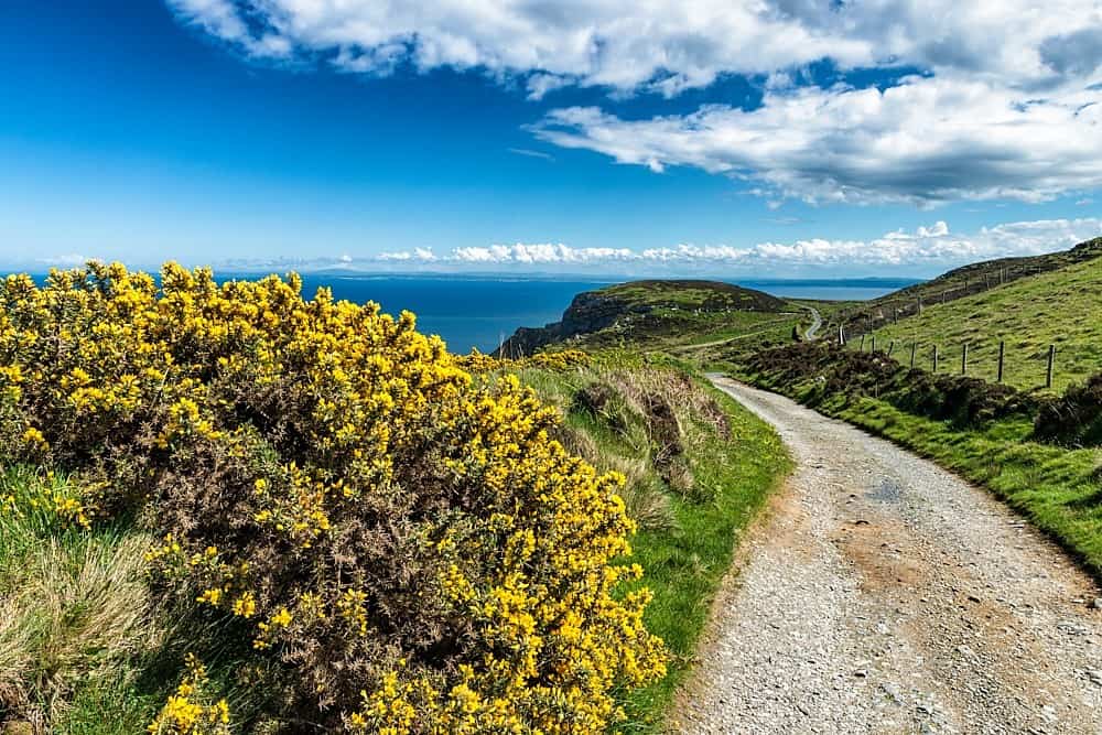 Inishowen Head