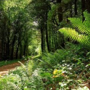Kerry Way