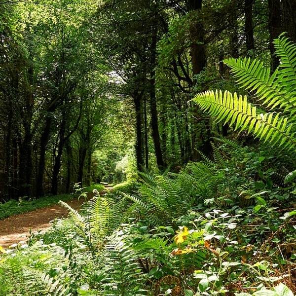 Kerry Way