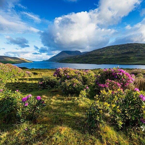 Killary Harbour