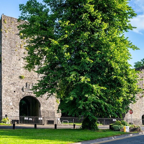 Maynooth Castle