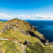 Moyteoge Head