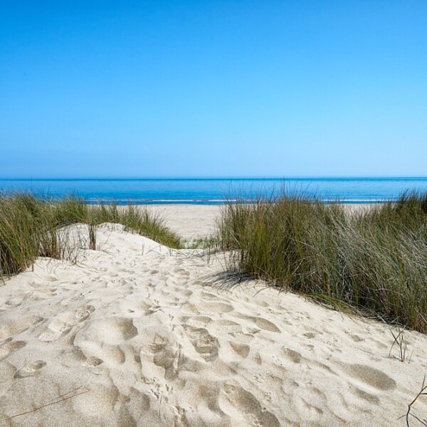 Old Bawn Beach