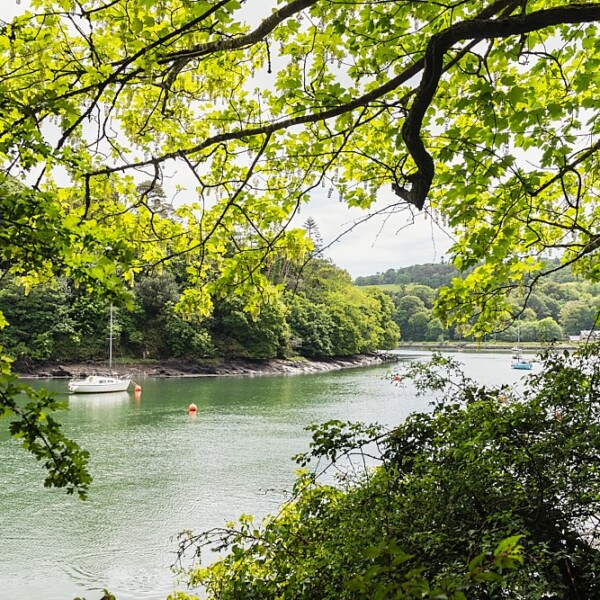 River Owenabue