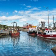 Port Oriel