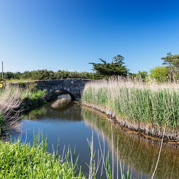 Redcross River