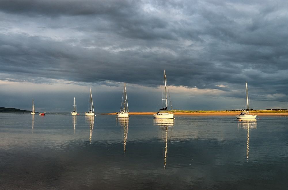 Rogerstown Estuary