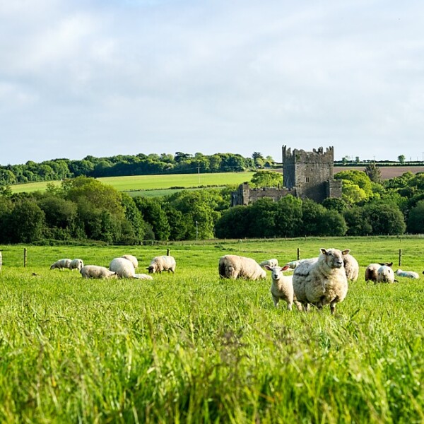 Tintern Abbey