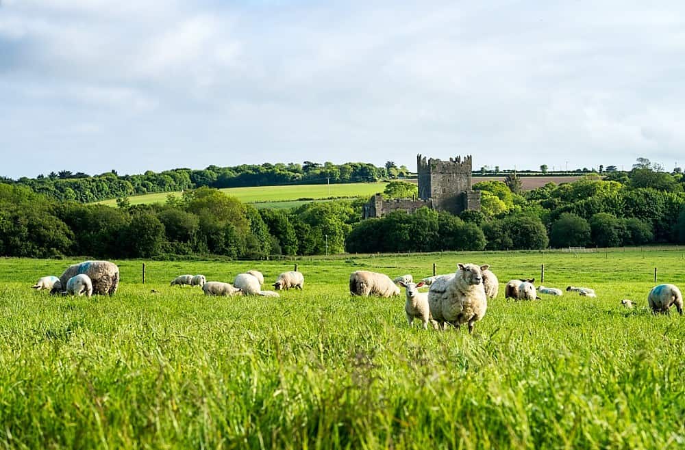 Tintern Abbey