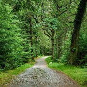 Torc Mountain