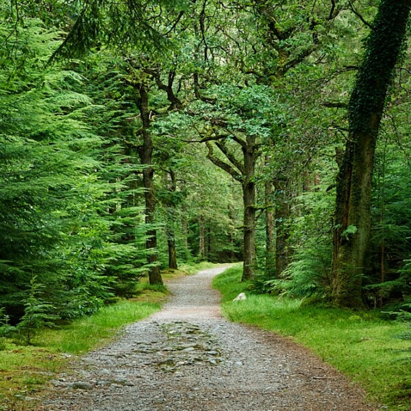 Torc Mountain