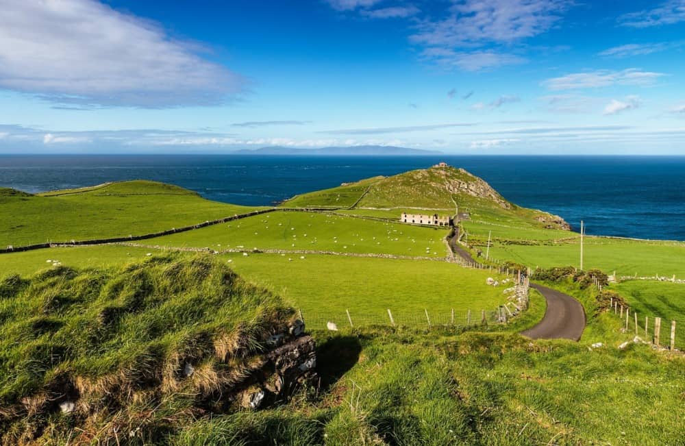 Torr Head