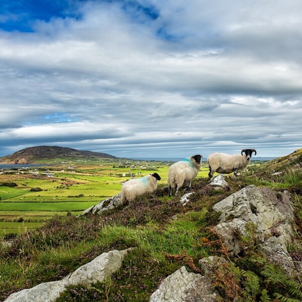 Urris Hills